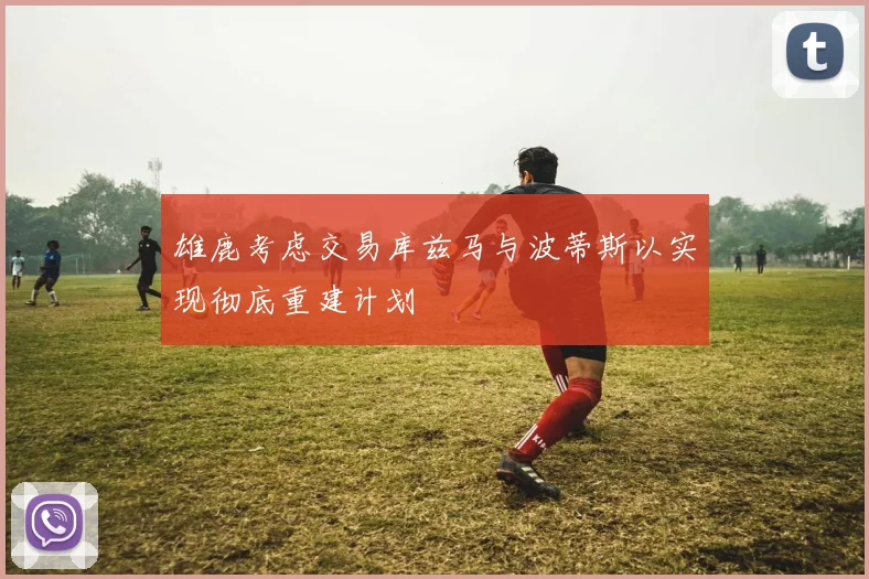 雄鹿考虑交易库兹马与波蒂斯以实现彻底重建计划