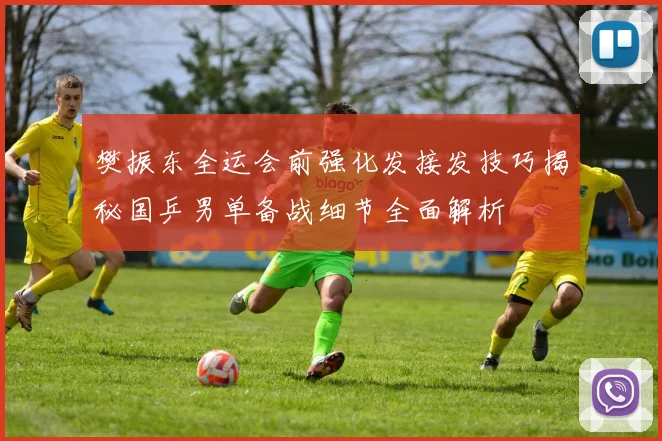 樊振东全运会前强化发接发技巧揭秘国乒男单备战细节全面解析